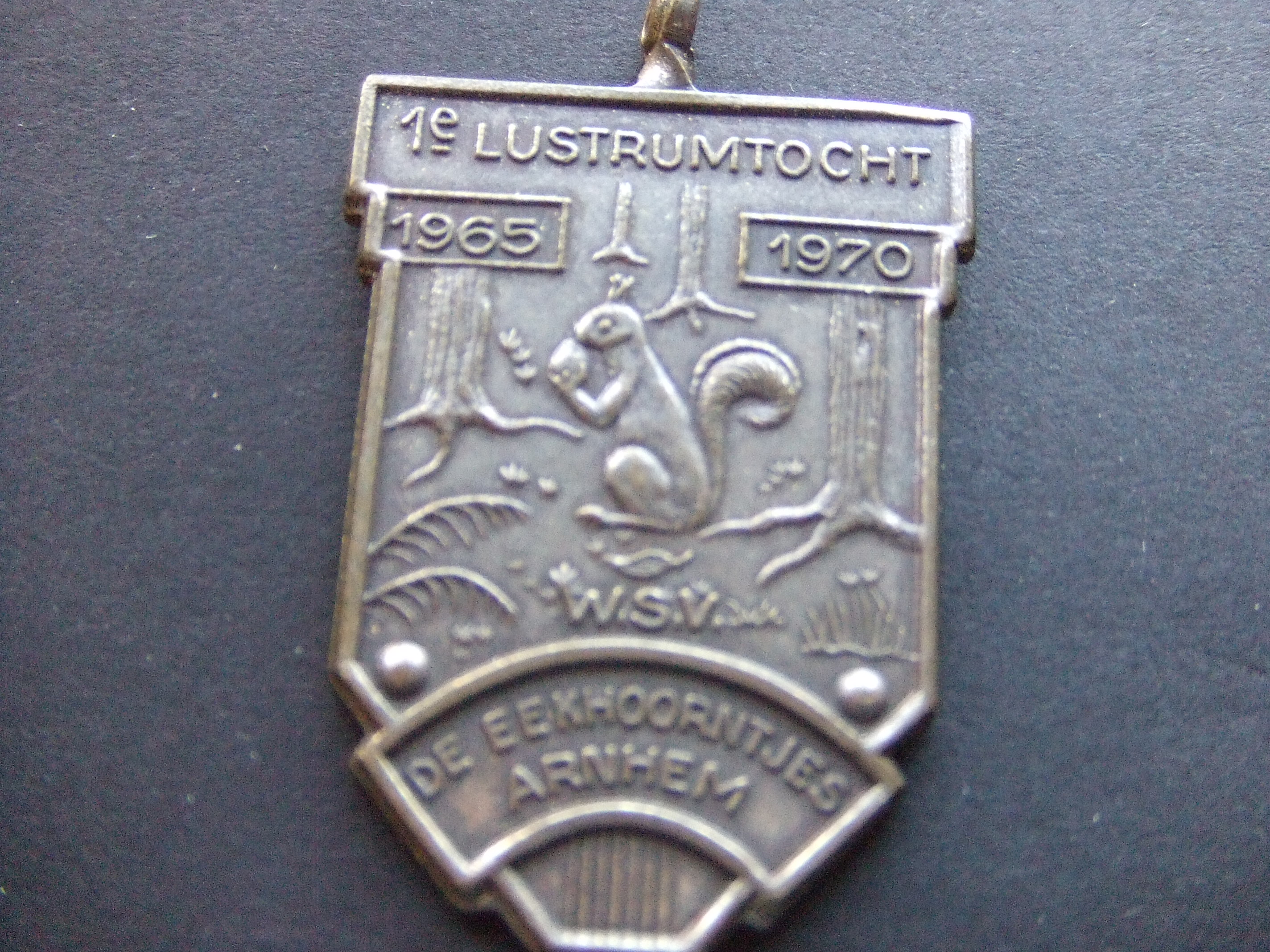 Arnhem wandelsportvereniging de Eekhoortjes ,eekhoorn
